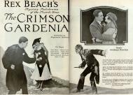 The Crimson Gardenia